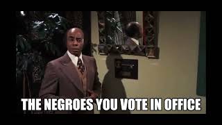 The Negroes You Vote In Office