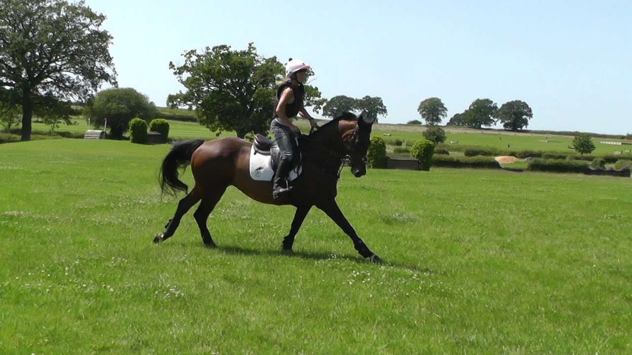 Prince Lyneham XC June 2019 YouTube