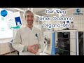 🧪 |Der Weg einer Oceamo Organo-MS| 🧪 |Christoph gibt euch einen exklusiven Einblick| 🧪