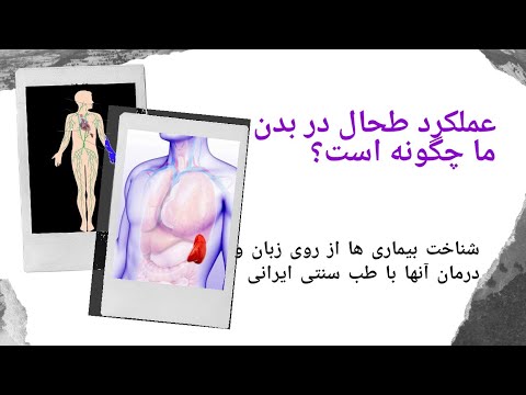 عملکرد طحال در بدن