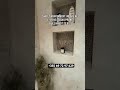 🏡 Shitet apartament investimi pranë Bulevardit të Ri!