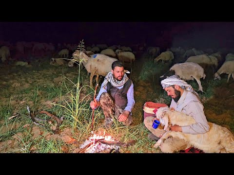 فيديو: الكابوشين البني: نمط الحياة في البرية ، التكاثر