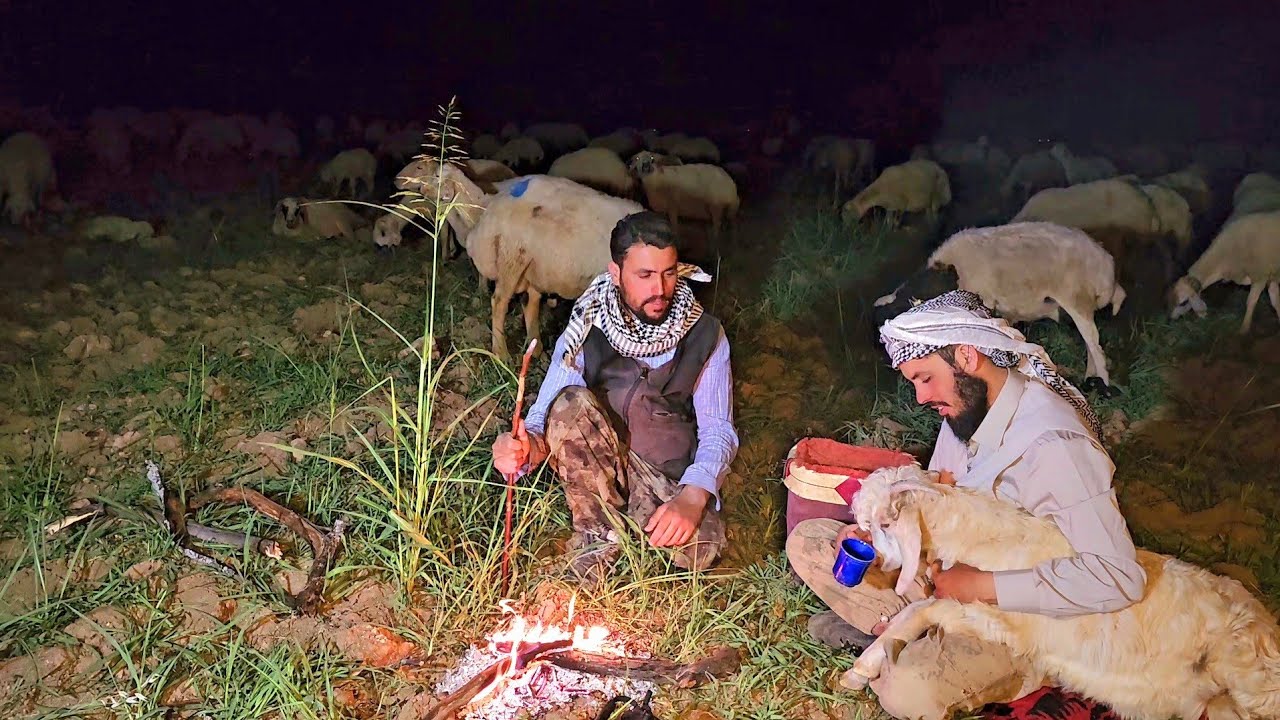 هجرة راعي الغنم إلى النهر - مع اغنامه وكلاب الكانجال تحرس القطيع