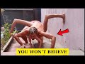 10 People You Won’t Believe Are Actually Human | Then and Now 2026