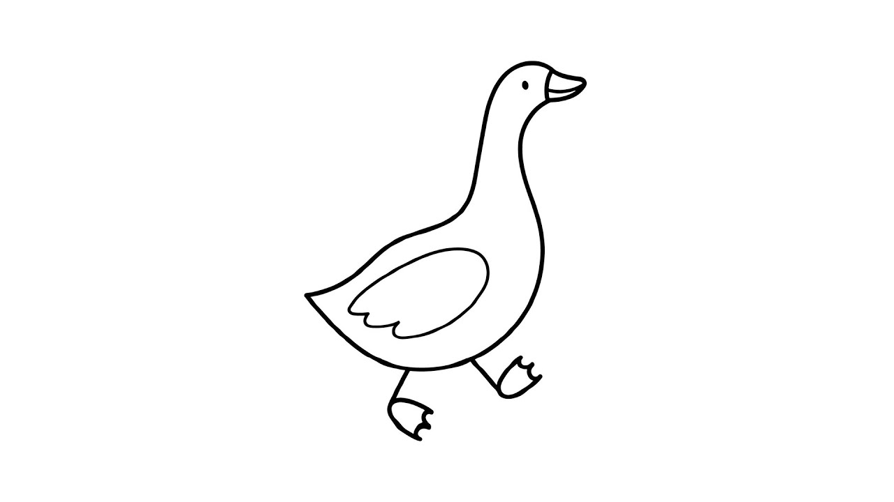 HOW TO DRAW A GOOSE EASILY AND QUICKLY LEARN HOW TO DRAW - YouTube