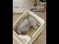 YAPOGI  전체 밀폐형 초대형 터널형 바닥 멀티기능 모래 누출 차단 및 비산 방지 서랍식 고양이 화장실