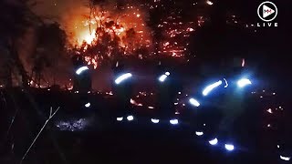 Download lagu Jubilant firefighters sing and dance along fire line in Southern Cape