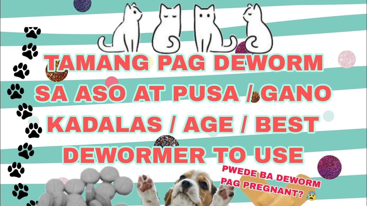 deworming-cat-dog-how-often-what-age-best-dewormer-to-use