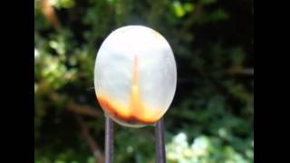 Tuah Batu Mustika Sodo Lanang Pengasihan