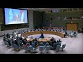 Выступление и.о. Постоянного представителя Д.А.Полянского на заседании СБ ООН по ситуации в Ираке