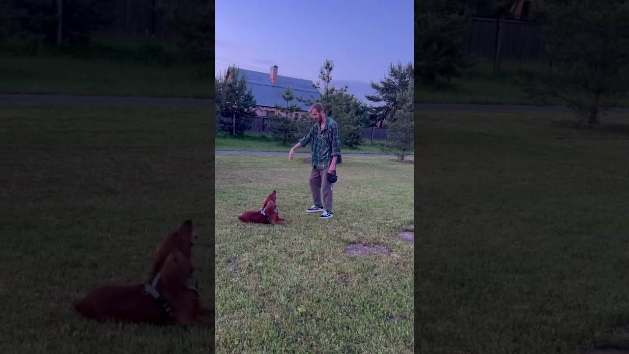 Дрессирую Коку❤️ 