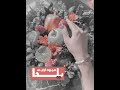 میوه آرایی یلدا