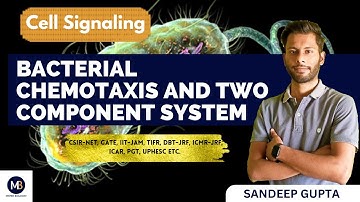 Bacterial Chemotaxis and Quorum Sensing | Cell Signaling | CSIR NET, GATE, DBT, etc.