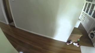 Muzzle Flash Test