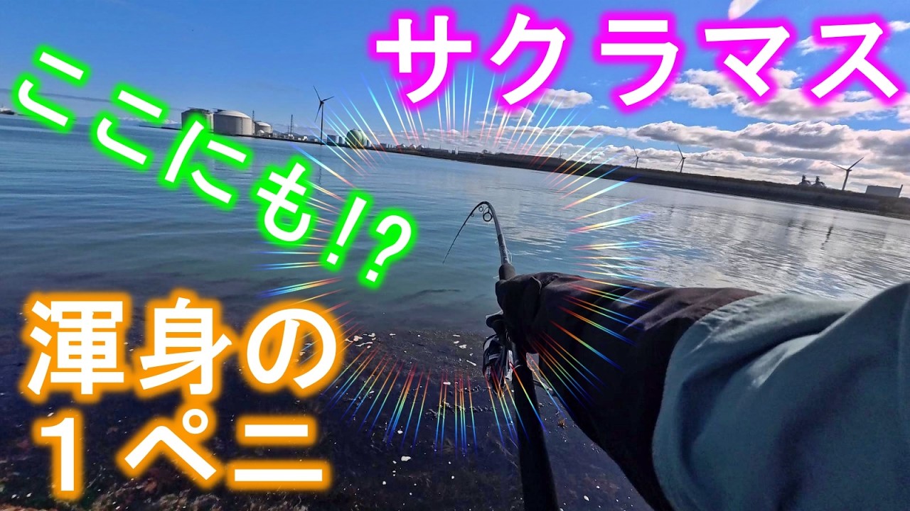 釣り】北海道サクラマス・ここにもいた・渾身の一撃：2026年5月 - YouTube