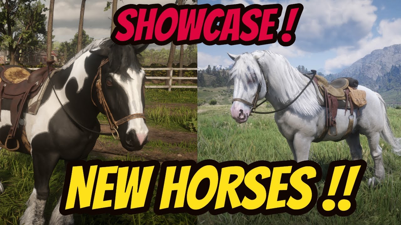 New HORSES! GYPSY COB Showcase !! RDR 2 The Naturalist DLC YouTube