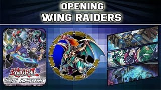 The best wing raiders opening box x2