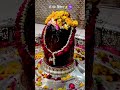 mhadev ji ke darshan #shortvideos