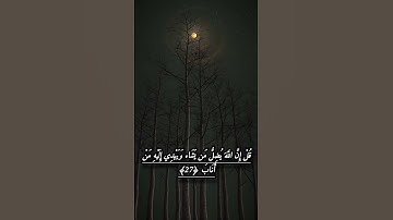 بعيداً عن الغاني ارح سمعك وقلبك بهده التلاوة 😌🎧 للقارئ #اسلام_صبحي #ارح_سمعك