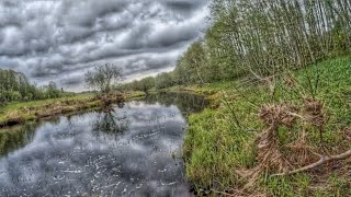 В поисках ЩУКИ. Найти и поймать Щуку. Рыбалка на Щуку. Ловля щуки на спиннинг.