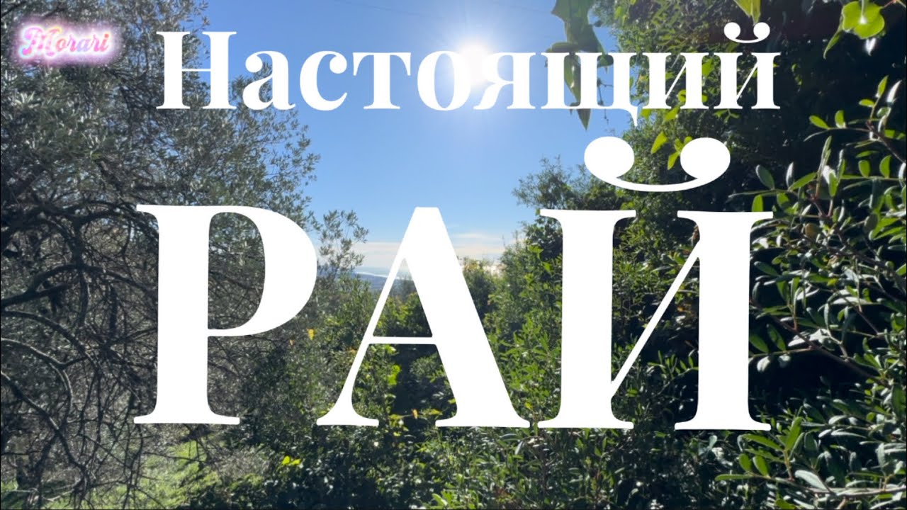 Настоящий рай на земле. Заброшенная старая сельская. церковь. Меняю резинки на  дворниках.