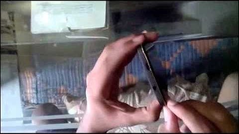 Intex aqua HD 5 0 Hard Reset, Format Code solution