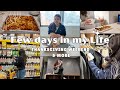 Few days in my life | Thanksgiving weekend, winter shopping, recipes and life in Toronto