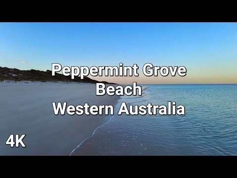 [4K] Peppermint Grove Morning Beach Walk | Australia