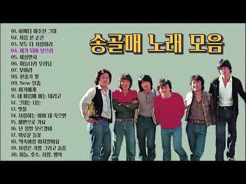 송골매 노래 모음 소울뮤직TV