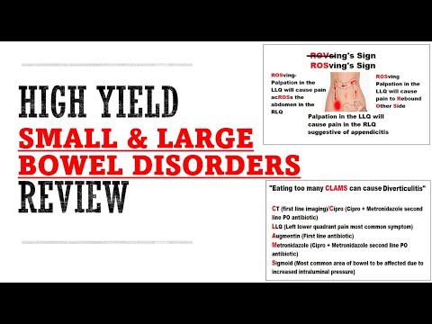 Small x Large Bowel Disorders Review | Mnemonics And Proven Ways To Memorize For Your Exams!