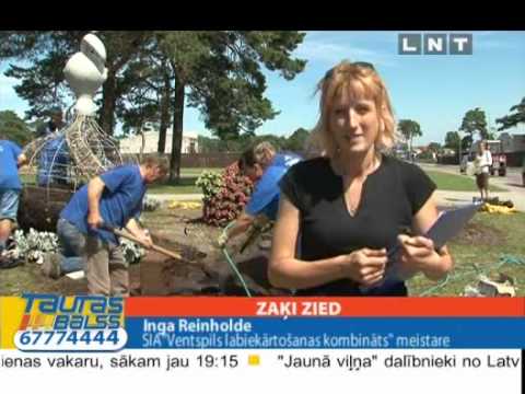 Video: Kā Izdomāt Sižetu