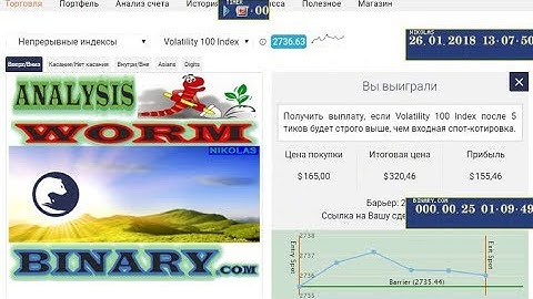 Analysis🐍 WORM🐍 Index - 100 Binary.com