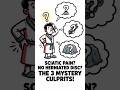 3 Causes of Sciatic Pain and Solutions  #physiotherapy #physicaltherapy #physio #painrelief