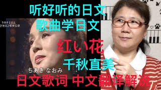 听好听的日文歌曲学日文 千秋之美 隐退前最后的单曲 红い花 日文歌词 中文翻译解说 Youtube 听好听的日文歌曲学日文 千秋之美 隐退前最后的单曲 红い花 日文歌词 中文翻译解说 Youtube