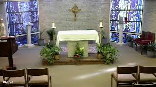 5-5-26: Tuesday of the 5th Week of Easter