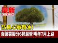 防黑心橄欖油！ 食藥署擬分6類嚴管 明年7月上路【最新快訊】