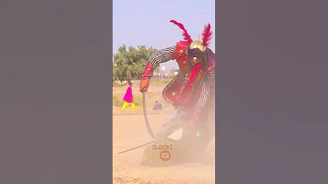 اه ياحسين 