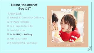 Meow, the secret Boy OST collection ~ 어서와 OST