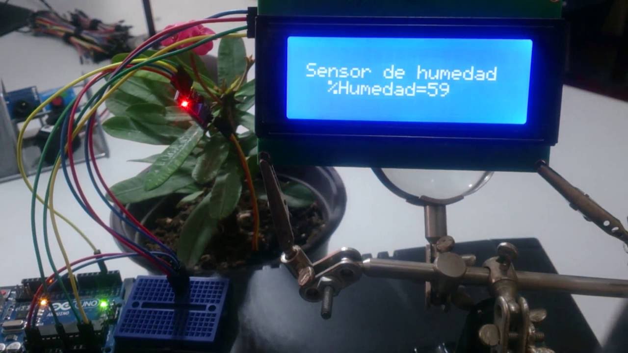 Cómo utilizar un sensor de humedad de suelo con Arduino