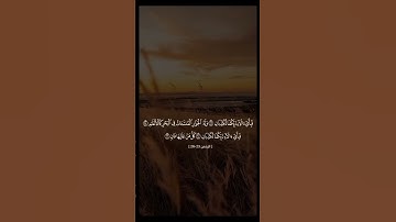 تلاوة خاشعة للقارئ عبدالباسط عبدالصمد