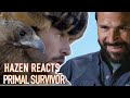 Hunting with golden eagles  hazen reacts  primal survivor