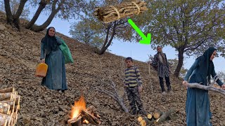 The harsh life of a homeless person in the mountains | Collecting firewood in the forest🌲🔥