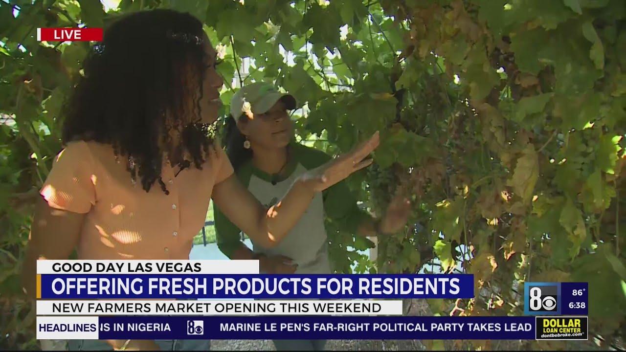 Farmers market sprouts in North Las Vegas offering fresh food, beauty