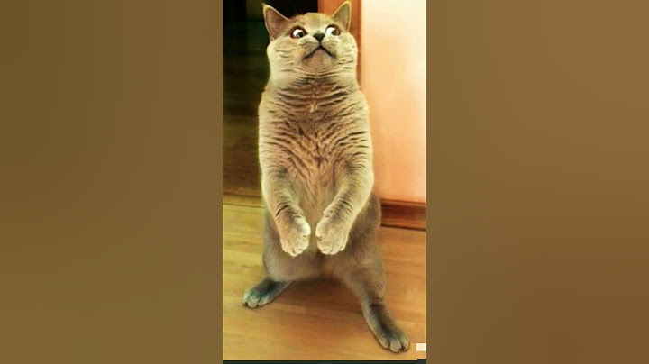 попробуй не засмеяться часть 2 🤣🤣🤣🤣🤣🤣😅😅