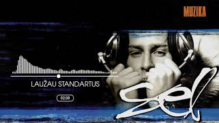 Video thumbnail of "SEL - Laužau Standartus"