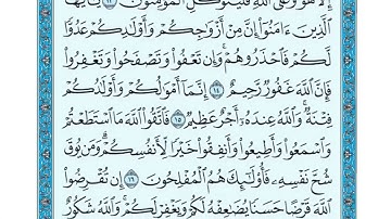 سورة التغابن ١٥-١٨ بصوت ياسر الدوسري