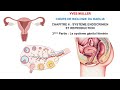 Chapitre 6 - 3ème Partie : Le système génital féminin - Cours de Biologie du DAEU-B