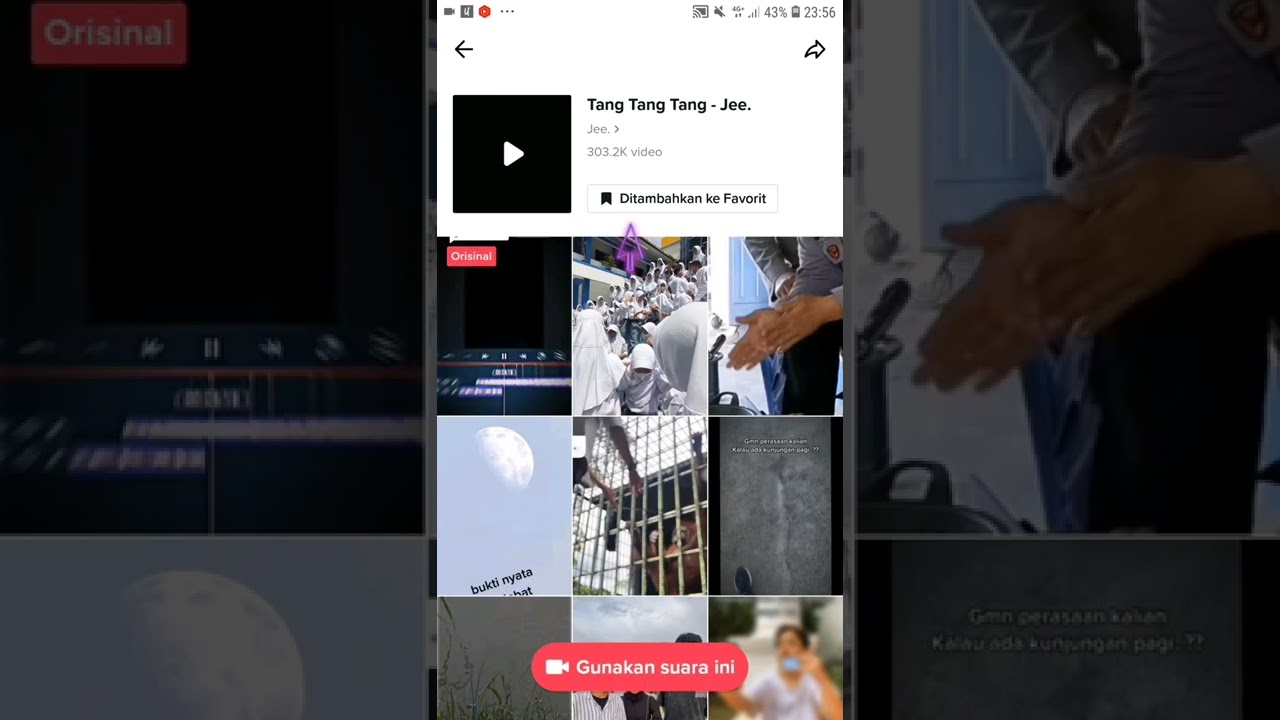 Cara Menyimpan Sound TikTok ke Daftar Favorite Terbaru Juni 2022