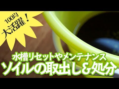 水槽砂利 処分 水槽砂利 処分