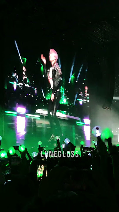 BTS Love Yourself Tour FIRE jimin bodyrolls - Singapore National Stadium 190119 방탄소년단 FANCAM